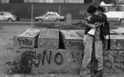 gay mexicanos|Historia del cine mexicano LGBTQ+: Hacia un camino de libertad.